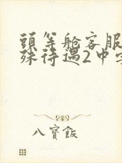 头等舱客服的特殊待遇2中字