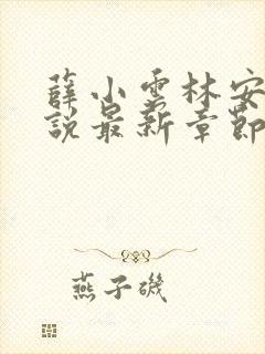 薛小云林安筠小说最新章节免费阅读