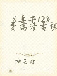 《妻子12》免费高清电视剧