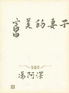 完美的妻子许艺昌