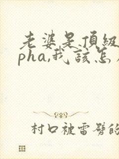 老婆是顶级alpha,我该怎么办笔趣阁