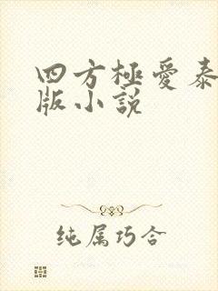 四方极爱泰剧原版小说封面