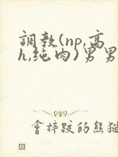 调教(np,高h,纯肉)男男