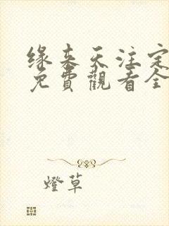 缘来天注定泰剧免费观看全集