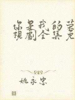 你是我的荣耀电视剧全集免费观看完整版