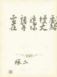 电视连续剧妈妈在等你大结局