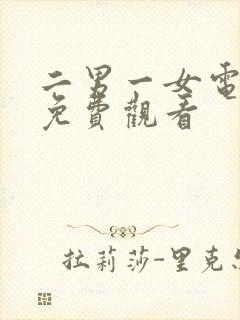 二男一女电视剧免费观看封面