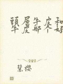 头层牛皮和2层牛皮哪个好