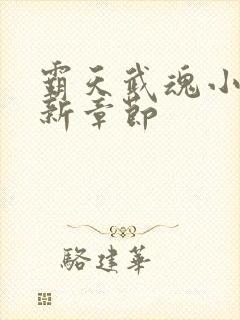 霸天武魂小说最新章节