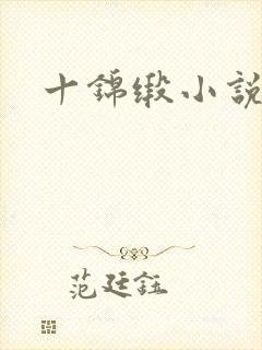 十锦缎小说
