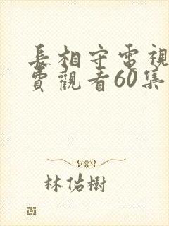 长相守电视剧免费观看60集电视剧