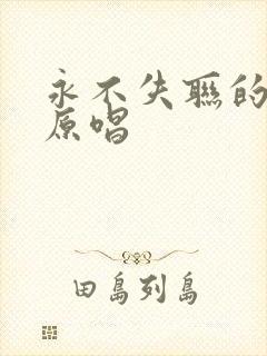 永不失联的爱 原唱封面