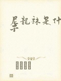 尼龙袜是什么袜子