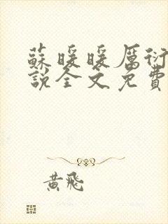 苏暖暖厉衍琛小说全文免费阅读