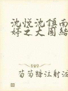 沈悦沈镇南陆婷婷之大团结