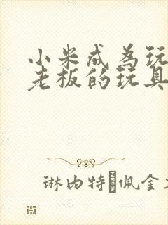 小米成为玩具店老板的玩具