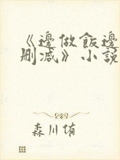 《边做饭边躁无删减》小说