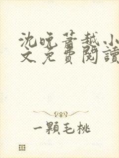 沈晚萧越小说全文免费阅读