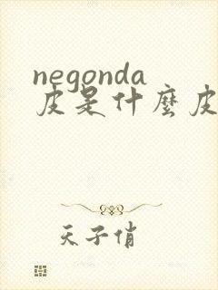 negonda皮是什么皮