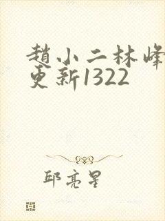 赵小二林峰刚刚更新1322