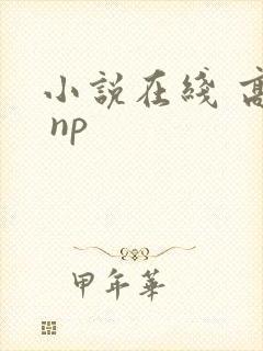 小说在线 高h np