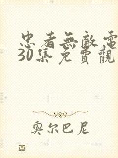 忠者无敌电视剧30集免费观看高清