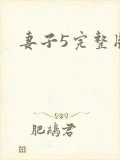 妻子5完整版