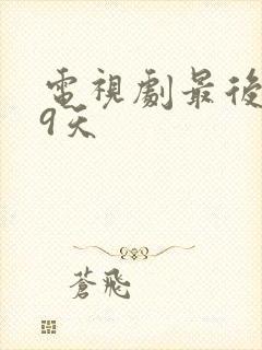 电视剧最后的99天封面