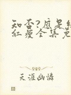 知否?应是绿肥红瘦全集免费