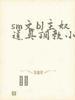 sm文bl主奴道具调教小说封面