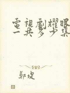 电视剧耀眼的你一共多少集