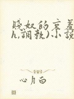 贱奴的哀羞(高h,调教)小说