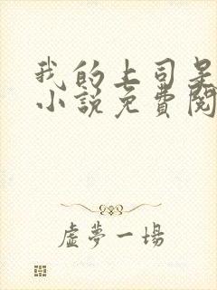 我的上司是女王小说免费阅读