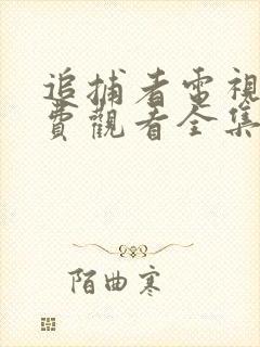 追捕者电视剧免费观看全集完整版封面