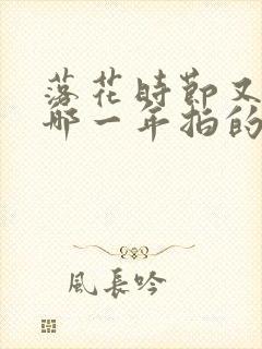 落花时节又逢君哪一年拍的