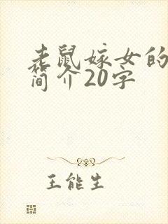 老鼠嫁女的故事简介20字封面