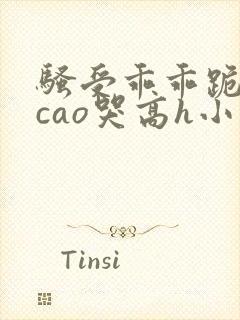 骚受乖乖跪趴被cao哭高h小说