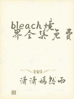 bleach境界全集免费观看高清无删减版完整版封面