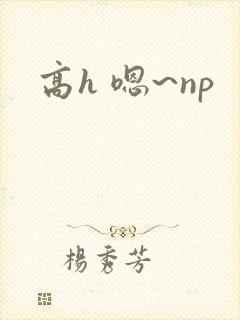 高h 嗯~np
