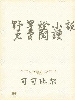 野星灯小说全文免费阅读