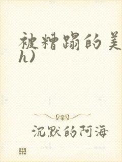 被糟蹋的美人(h)封面