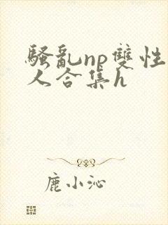 骚乱np双性美人合集h封面