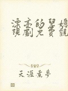 漂亮的儿媳妇电视剧免费观看封面