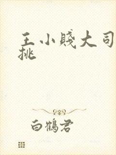 王小贱大司命单挑