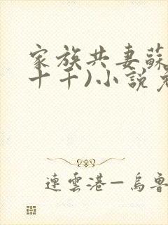 家族共妻苏苏(十千)小说免费