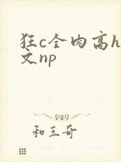 狂c全肉高h辣文np