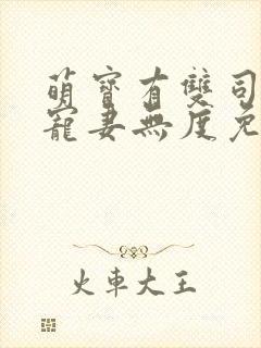 萌宝有双司先生宠妻无度免费阅读