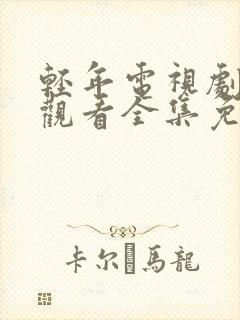 轻年电视剧在线观看全集免费策驰封面