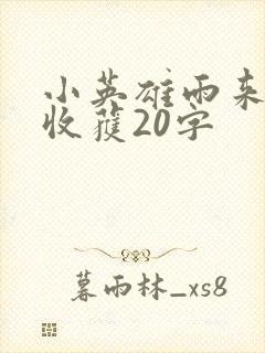 小英雄雨来阅读收获20字