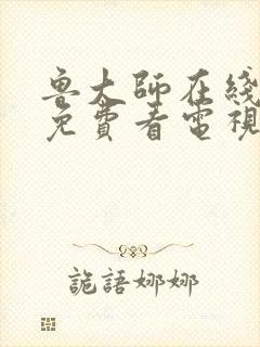 鲁大师在线视频免费看电视剧下载